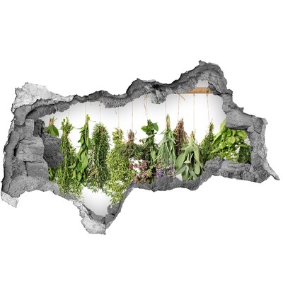 Wandsticker 3D doorkijk Uil in een gat in de muur