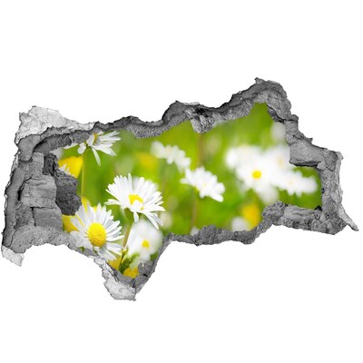 Samoprzylepna dziura naklejka Kwiatowy raj za murami