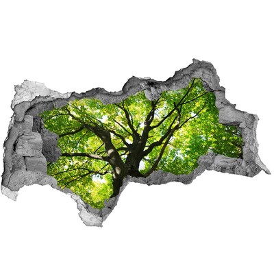 Wandsticker 3D doorkijk De culinaire wereld achter de muren