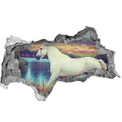 Wandsticker 3D doorkijk Leeuw met bril