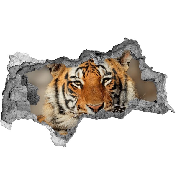 3D muursticker gescheurde muur Een bloemenparadijs achter de muur.