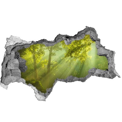 naklejka fototapeta 3D widok Zielony las z promieniami słońca