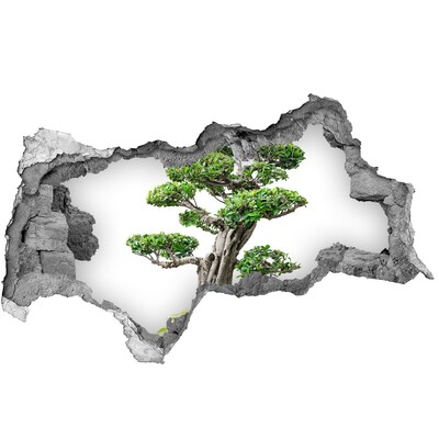 3D sticker gat in stenen muur Aardbeien in water