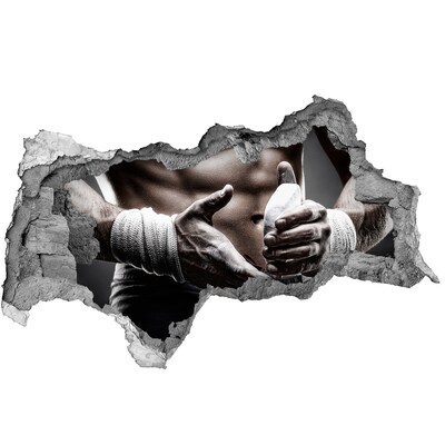 Foto zdjęcie dziura na ścianę Mistrz sportów walki