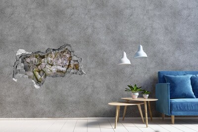 Wandsticker 3D doorkijk Oude kaart met kompas
