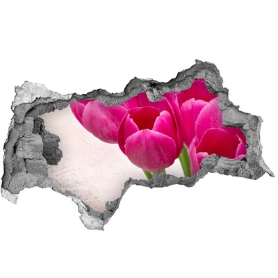 Zelfklevende 3D wandsticker illusie Berglandschap met een pad