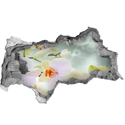 Samoprzylepna dziura naklejka Kwiaty w betonie