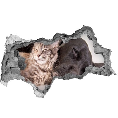 Dziura 3d foto tapeta naklejka Słodka chwila przyjaźni