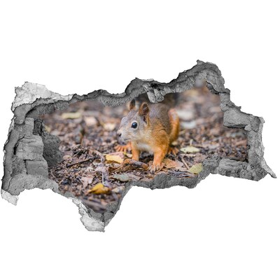 3D muursticker gescheurde muur Schattige kat in een trui