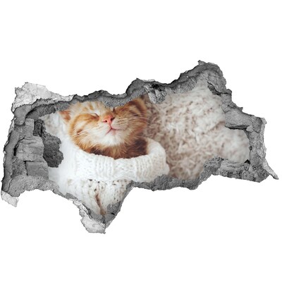 Samoprzylepna naklejka beton Słodki kot w sweterku