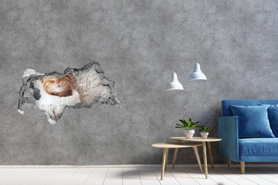 Wandsticker 3D doorkijk De hemel is vol wolken.