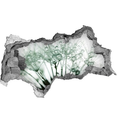 Fotoobraz dziura na ścianę Kwiatowe marzenie za ścianą
