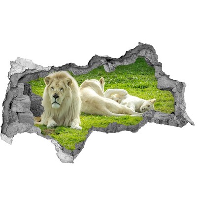 3D muursticker gescheurde muur Uitzicht op de stedelijke jungle