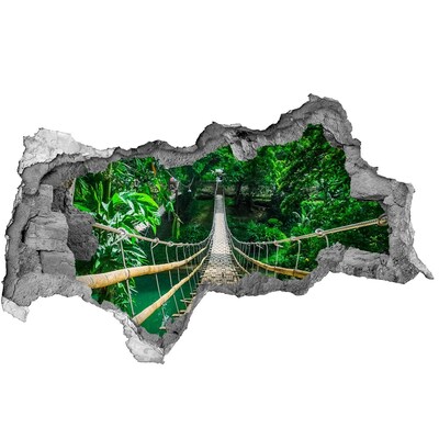 Fototapeta dziura na ścianę 3d Most w dżungli