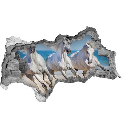 Wandsticker 3D doorkijk Verloren schatkaart