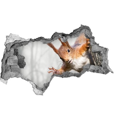 naklejka fototapeta 3D na ścianę Wiewiórka w akcji