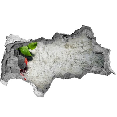 Fotoobraz dziura na ścianę Zniszczona ściana z widokiem na niebo