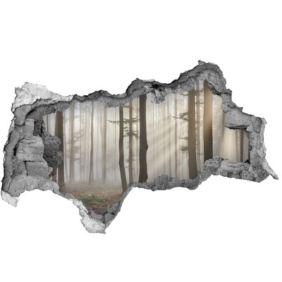 Wandsticker 3D doorkijk Golden Gate Bridge 's nachts