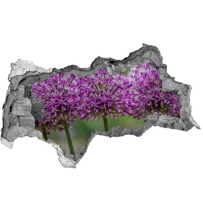 3D muursticker gescheurde muur Prinses in de ruïnes