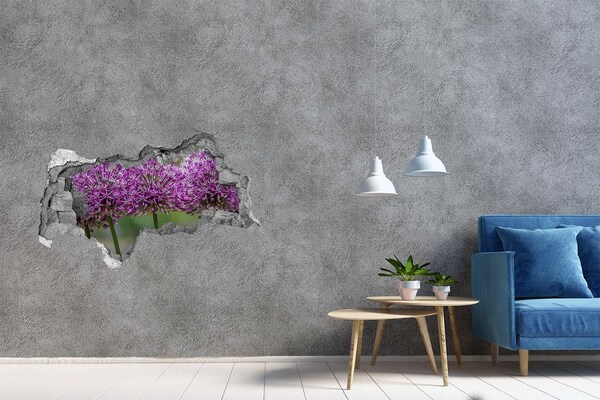 3D muursticker gescheurde muur Prinses in de ruïnes