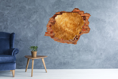 trapstickers Gouden gat in de muur