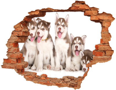 ikea malm stickers Huskypuppy's achter een gat in de muur