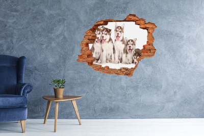 ikea malm stickers Huskypuppy's achter een gat in de muur