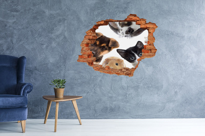 trapstickers Dierenvoyeurs