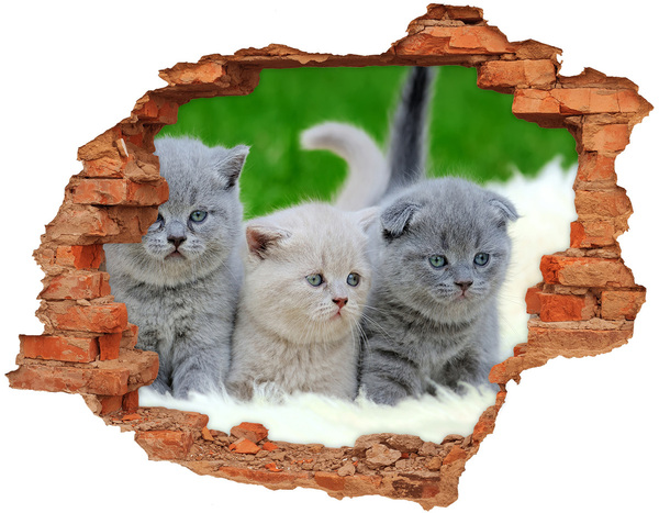 ikea malm stickers Kittens in een gat in de muur