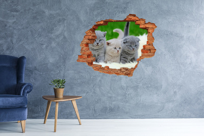 ikea malm stickers Kittens in een gat in de muur