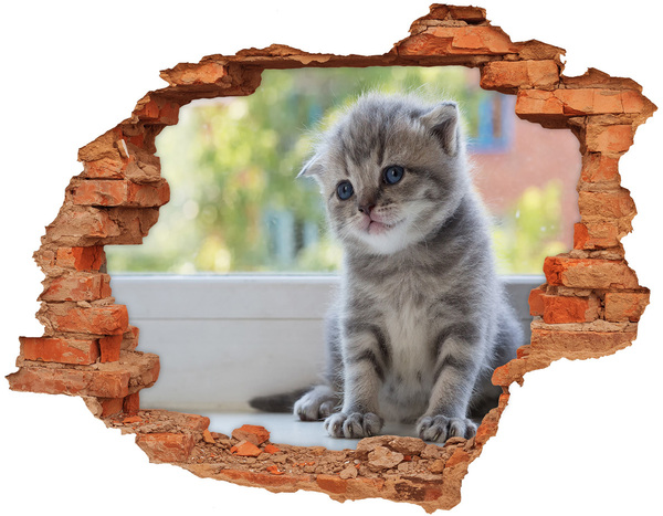 trap stickers Kitten in een gat in de muur