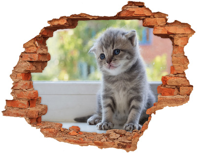 trap stickers Kitten in een gat in de muur