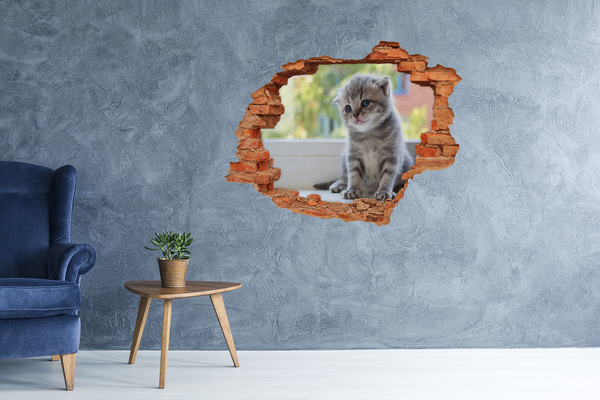 trap stickers Kitten in een gat in de muur