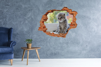 trap stickers Kitten in een gat in de muur