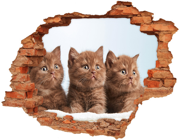 Grote 3D muursticker gat in de muur Kittens achter de muur
