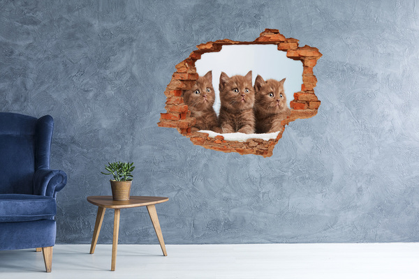 Grote 3D muursticker gat in de muur Kittens achter de muur