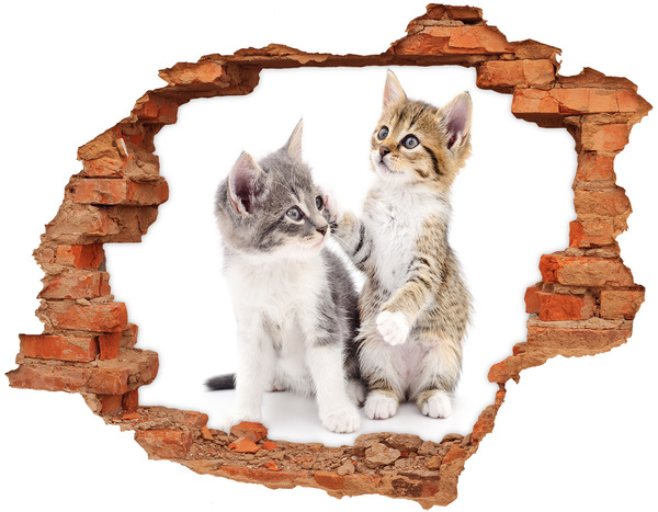 trap stickers De kattenwereld achter de muur