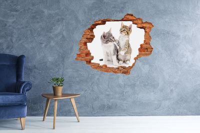 trap stickers De kattenwereld achter de muur