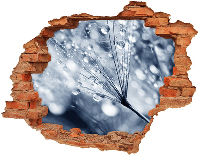 trap stickers Dauwdruppels op een paardenbloem