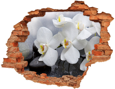 stickers voor ikea meubels Orchideeën in beton