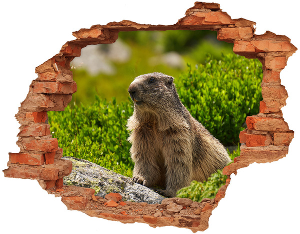 stickers trofast ikea Marmot in het wild