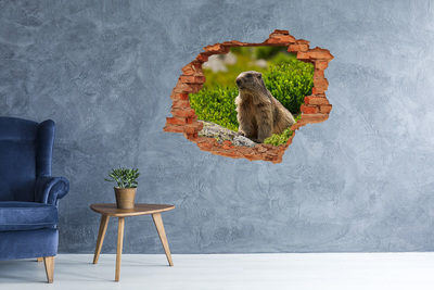 stickers trofast ikea Marmot in het wild