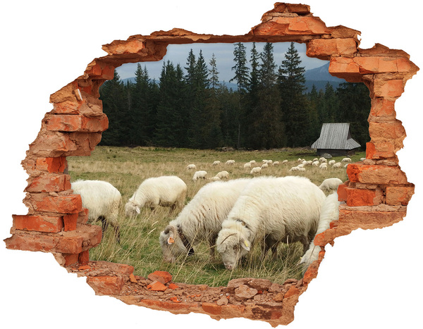 Dziura 3d fototapeta naklejka Owce na łące