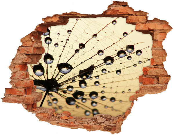 Vinyl muursticker 3D breekeffect Waterdruppels op een vlindervleugel