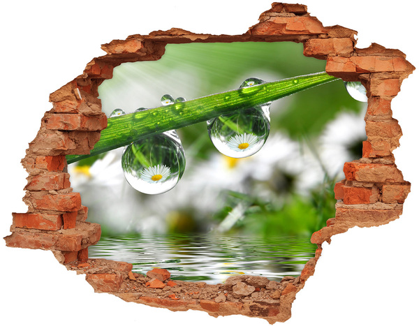 Grote 3D muursticker gat in de muur Bloemenoase met waterdruppels