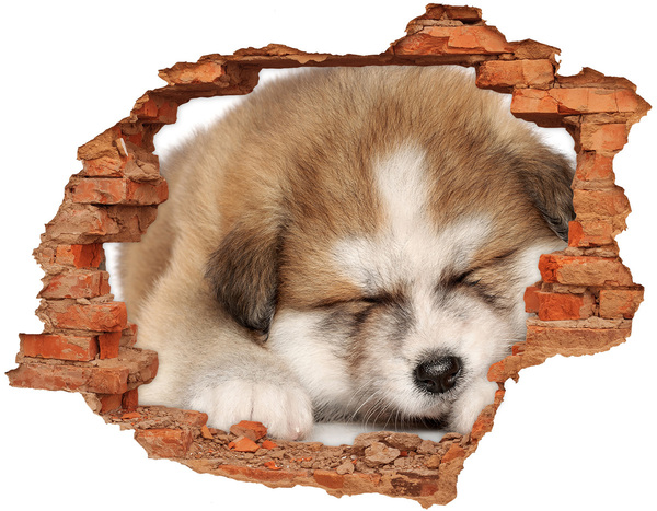 Vinyl muursticker 3D breekeffect Schattige puppy in een gat in de muur