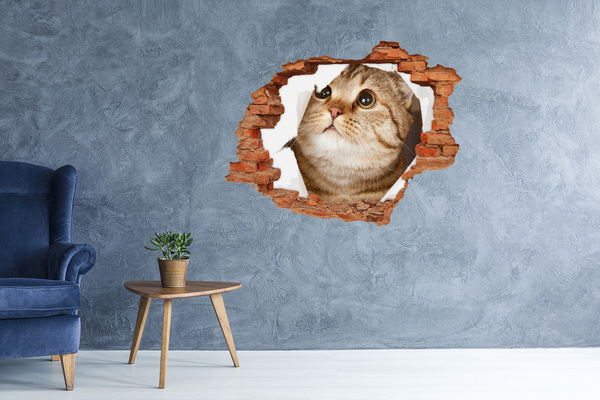Vinyl muursticker 3D breekeffect Kat in een gat in de muur