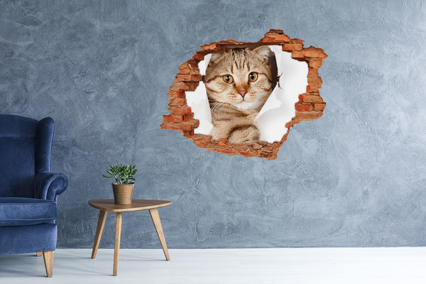 Grote 3D muursticker gat in de muur Kat in een gat in de muur