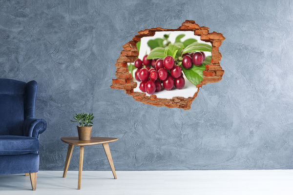 Grote 3D muursticker gat in de muur Fruity Hole in the Wall