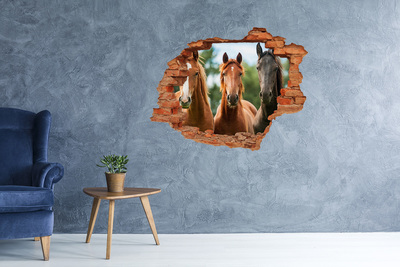 Grote 3D muursticker gat in de muur Paarden in hun natuurlijke leefomgeving
